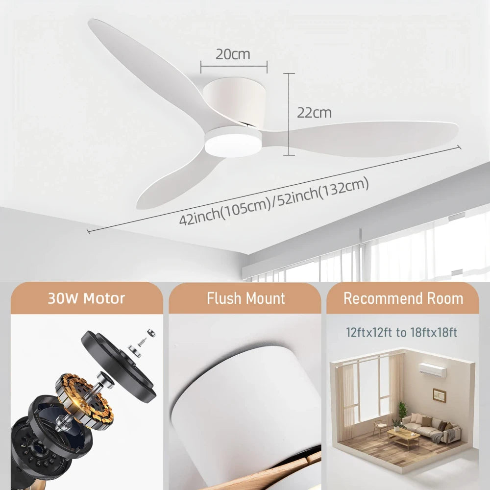Modern Ceiling Fan LED