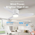 Modern Ceiling Fan LED