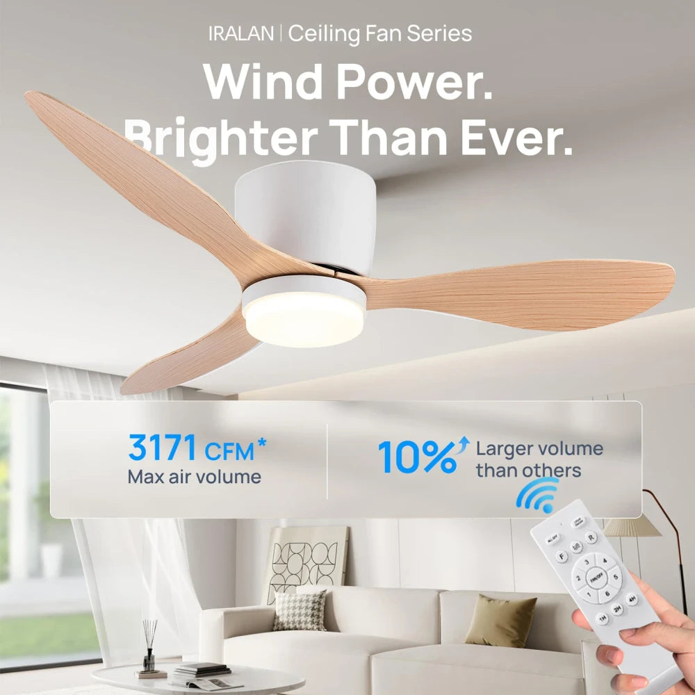 Modern Ceiling Fan LED