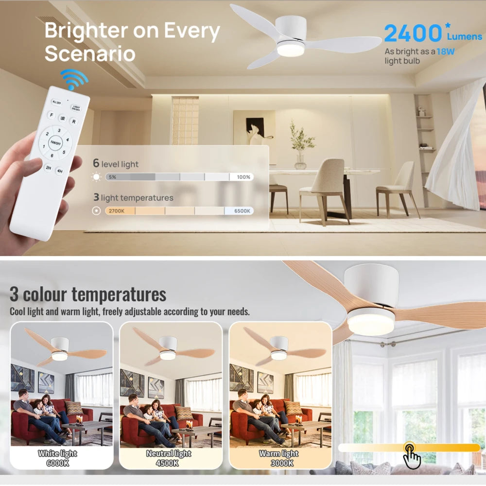 Modern Ceiling Fan LED