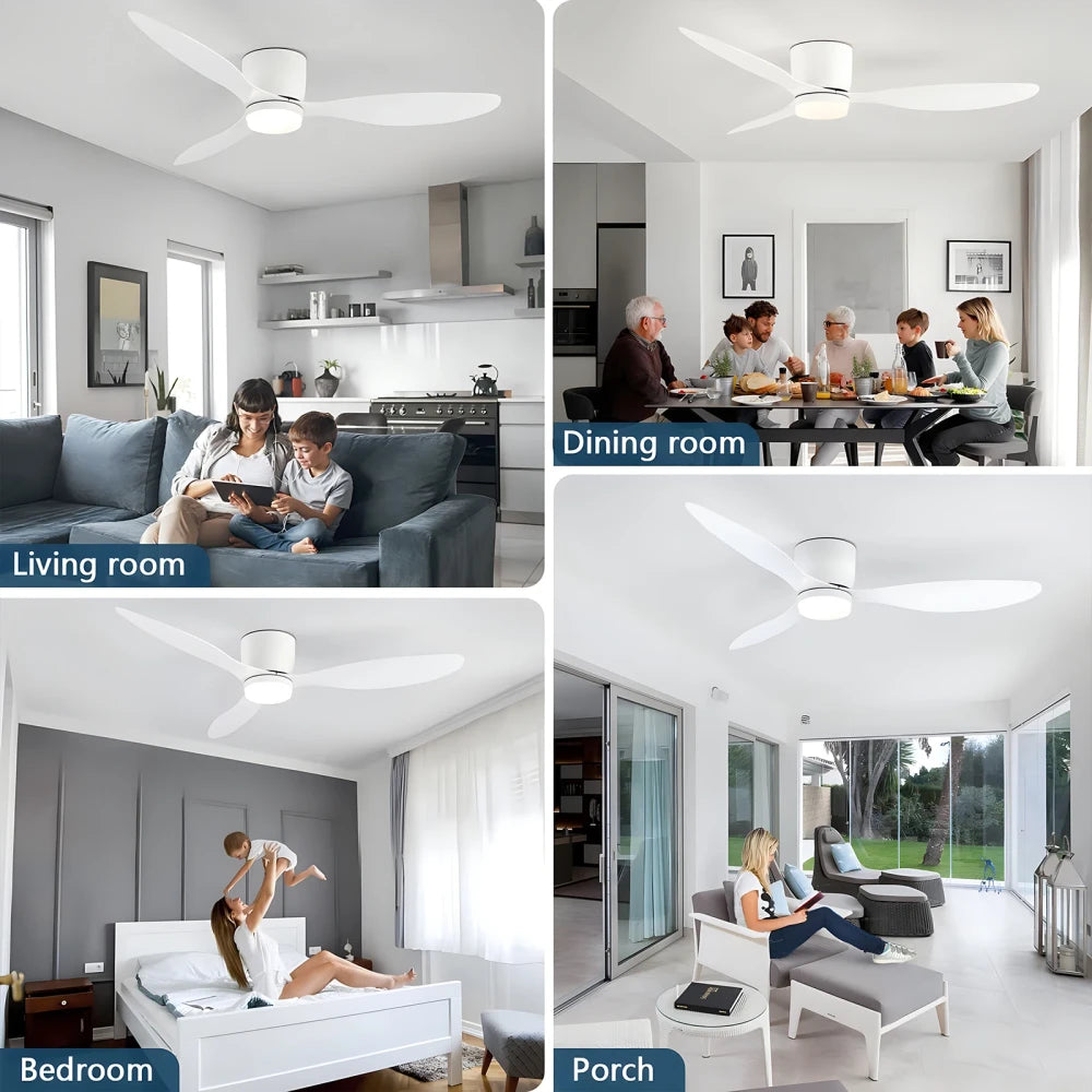 Modern Ceiling Fan LED